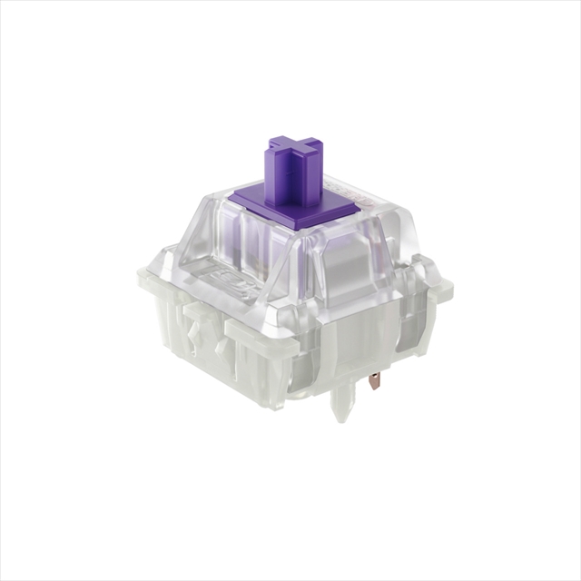【10個】 CHERRY MX2A RGB 5ピン 紫軸スイッチ FKSW10CH/MPUｰRB