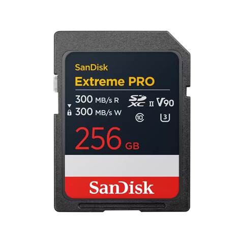 SDSDXDM-256G-GN4IN 海外輸入版 ExtremePro