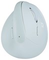 Digio2 MUS-RKF222MT ミント 無線ミニエルゴ静音5ボタンBlueLEDマウス
