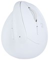 Digio2 MUS-RKF222W ホワイト 無線ミニエルゴ静音5ボタンBlueLEDマウス