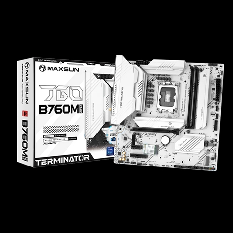 MS-Terminator B760M GKD5 ICE