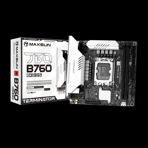 MS-Terminator B760BKB D5 WIFI