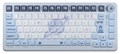AIM1 coalowl x 瞬 マタタキ ゲーミングキーボード JIS 日本語配列 5月15日発売