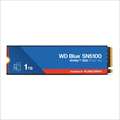 WDS100T5B0E（海外輸入品）
