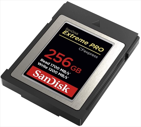 SDCFE-256G-GN4NN Extreme Pro