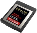 SDCFE-256G-GN4NN Extreme Pro