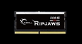 F5-4800S4039A16GX1-RS