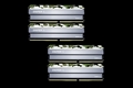 F4-3000C16Q-32GSXFB