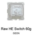 【1個】 GEON Raw HE Switch 60g ☆40個まで￥250クリックポスト対応可能！