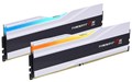 F5-6000J2836G32GX2-TZ5RW